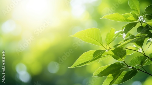 Gardening in the summertime when the sun is shining. For a springtime environment ecology or greenery wallpaper  use real green leaves from plants. Generative AI.