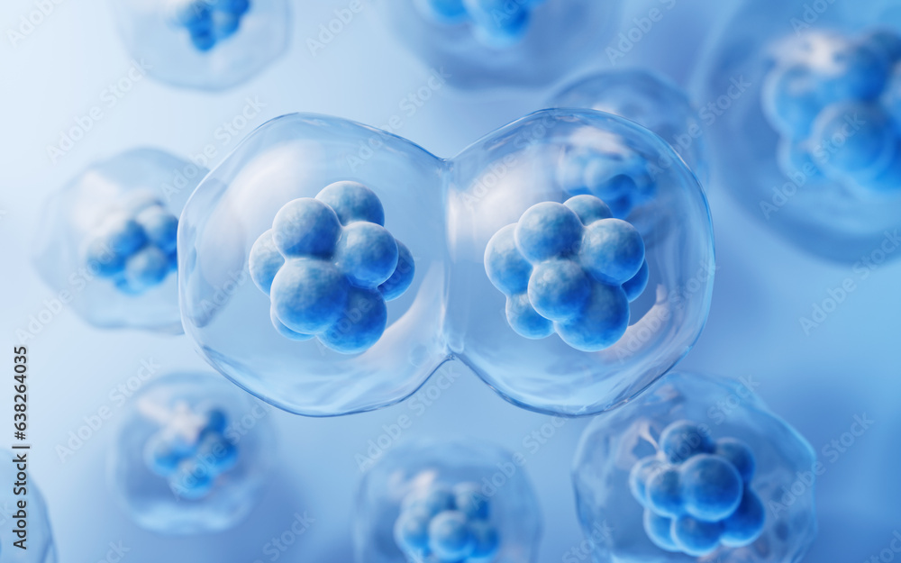 Mitosis of cells with biotechnology concept, 3d rendering. Mitosis of cells with biotechnology concept, 3d rendering.