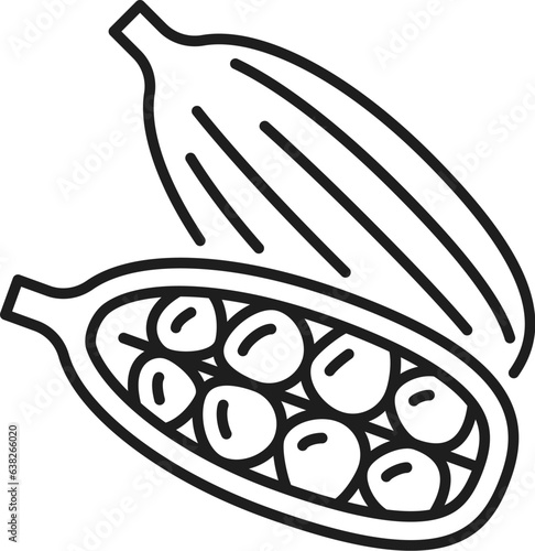 Cardamom pods and seeds isolated outline icon. Vector cardamum organic plant, spicy seasoning ingredient, raw fragrant cardamum seasoning