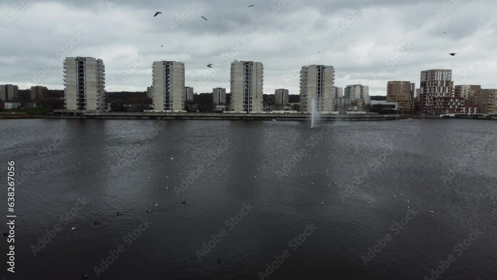 Aerial view of city buildings in the background of a like with countless white birds on the lake surface Aerial view of city buildings in the background of a like with countless white birds on the lake surface
