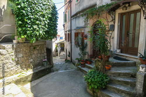 A narrow cobalt street in Moscenicka Draga, Croatia. There are a lot of lush plants on the sides of the street. The sun is reaching the sides of the houses. Summer holidays. No people.