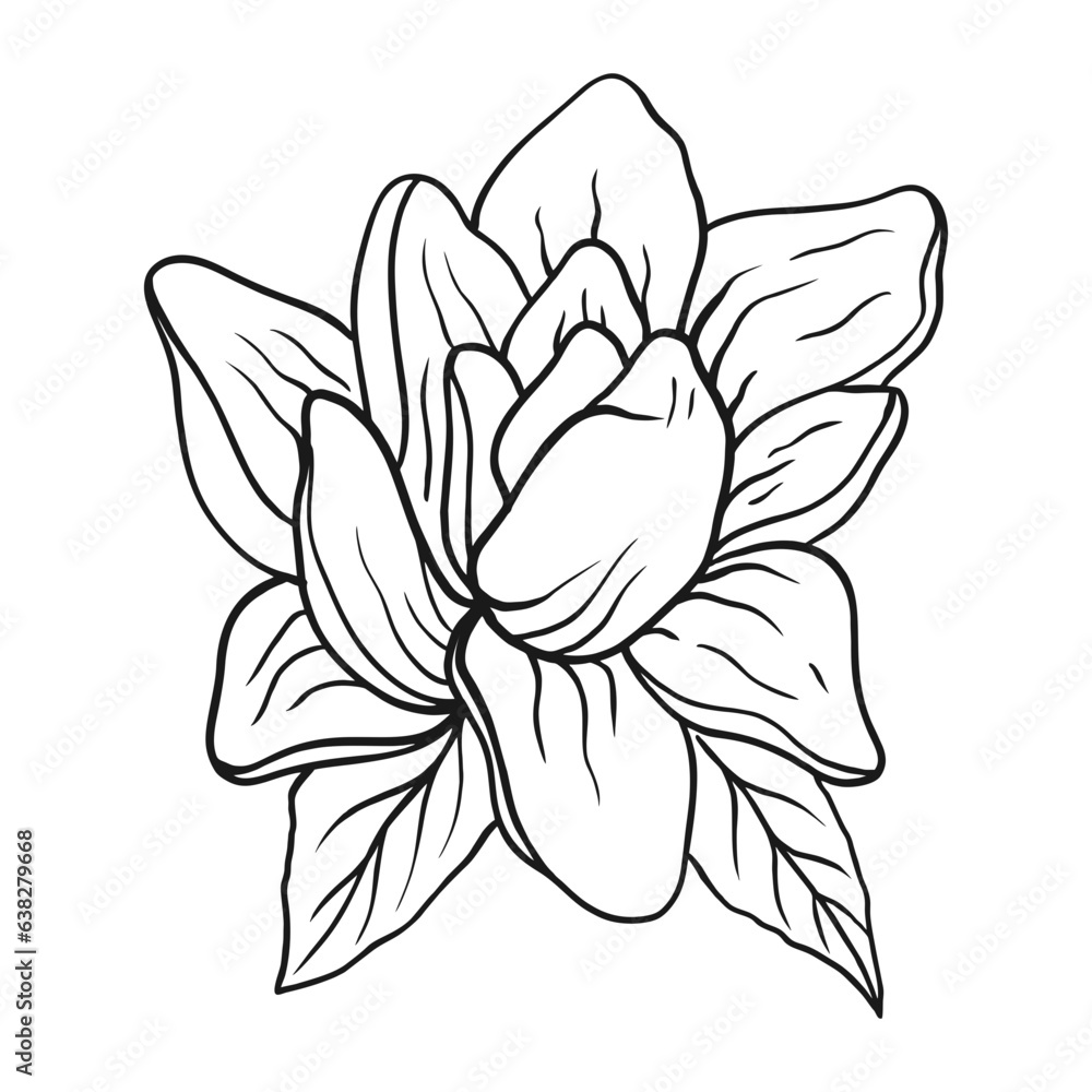 Tropical Floral Vector Illustrations