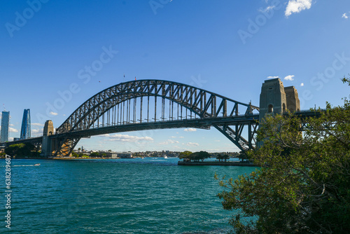 A view from a tree line of the Sydney Harbour Bridge on a sunny winter day