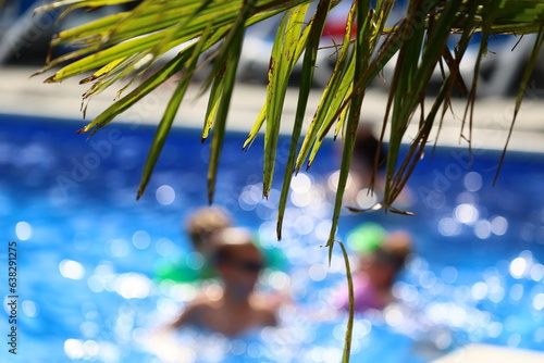 Liść palmy na tle niebieskiej wody latem. Widok Karaiby.  photo
