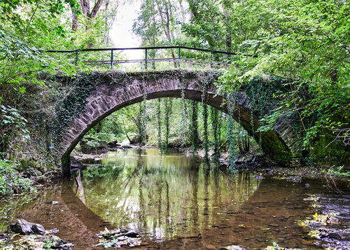 A fairytale overgrown clinker bridge on the way to Eltz Castle. photo