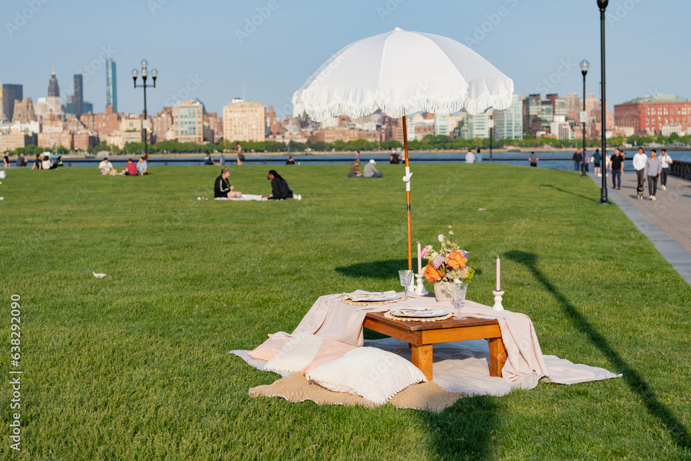 romantic date in manhattan. picnic in new york. summer outdoor romance. romantic picnic in