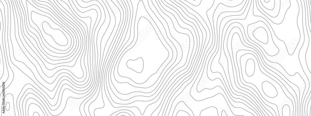 Abstract topographic contours map background. Topography white wave lines vector background. Topographic map Patterns, Topographic map and place for texture.  Wavy curve lines banner design.
