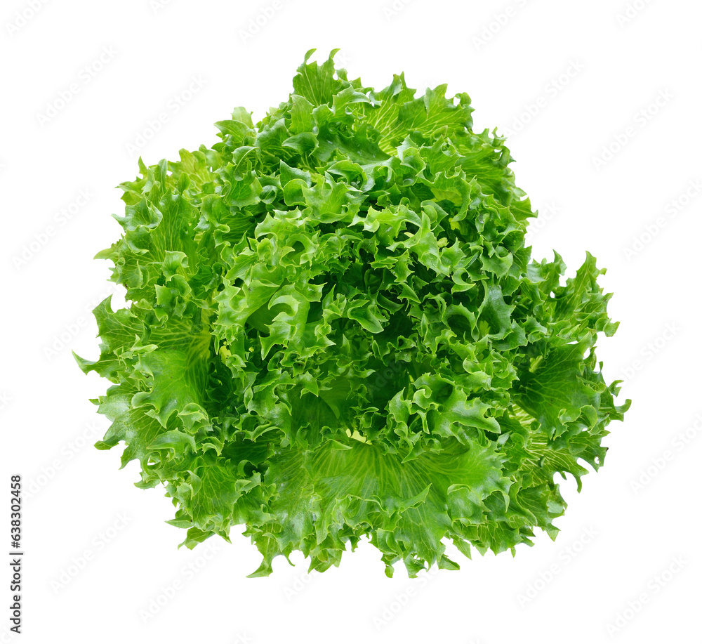 Fototapeta premium Fresh green lettuce leafs transparent png