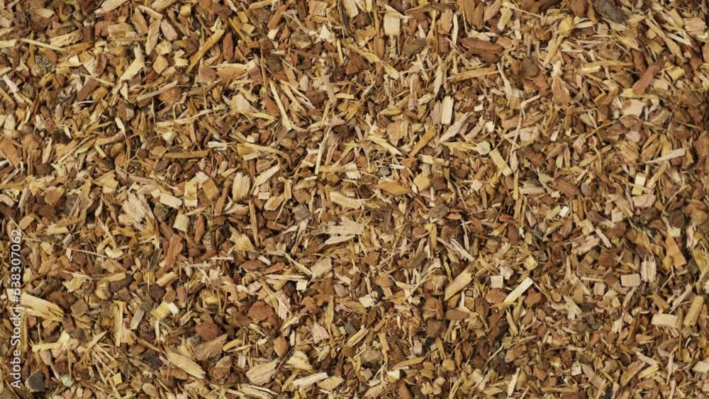 Crushed oak bark is used in folk medicine as decoction or tincture. Strong astringent with a tanning effect. 4K Video, Rotating. Crushed oak bark is used in folk medicine as decoction or tincture. Strong astringent with a tanning effect. 4K Video, Rotating.
