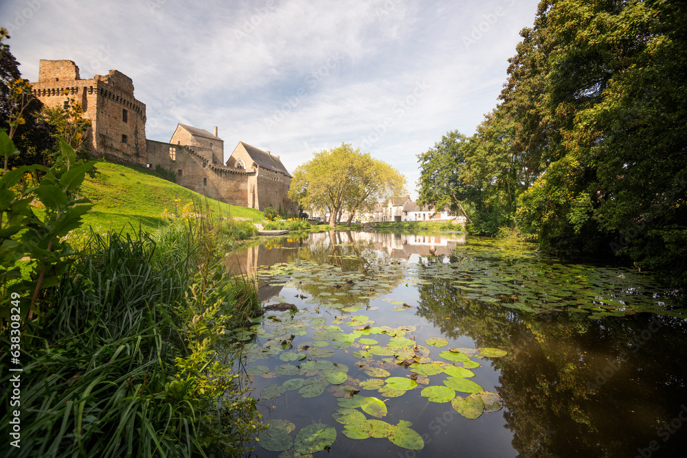 Fototapeta premium La ville de Châteaubriant en Loire-Atlantique, avec son chateau sur les bords de la riviere la Chère garnie de nénuphars. Vue champêtre dans le parc du chateau.