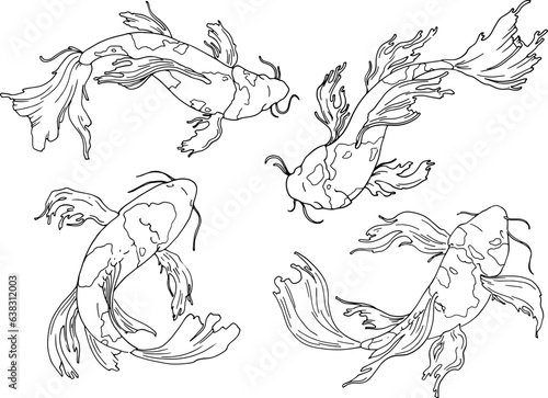 Japanese carp fish. Linear illustration, top view. Freehand drawing detailing the tail and fins. Vector image for quality printing. Japanese carp set ZODIAC collection. Vector illustration