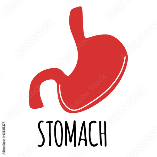 Stomach illustration on white background. Flat style.