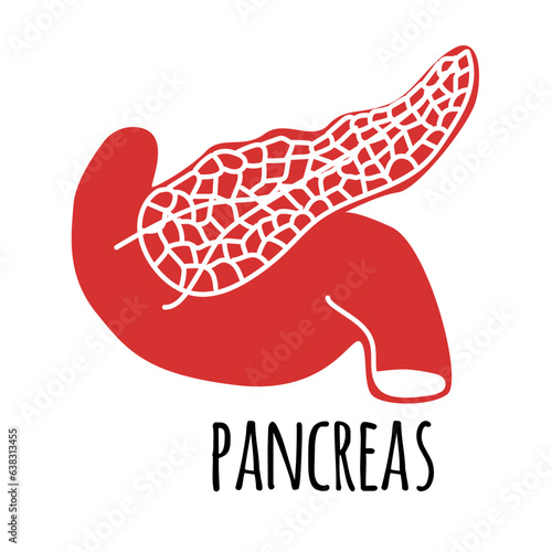 Pancreans illustration on white background. Flat style. Vector