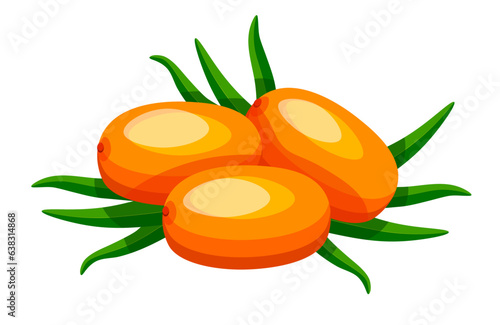 Sea buckthorn in cartoon style. Vector illustration of a delicious bunch of orange sea buckthorn with green leaves isolated on white background.