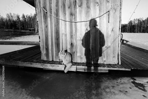 person in the park and cat
