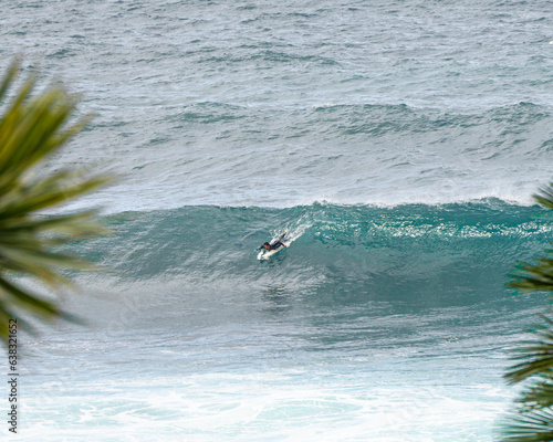 surfing the waves surfer photo