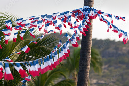 French flag bunting for Bastille day