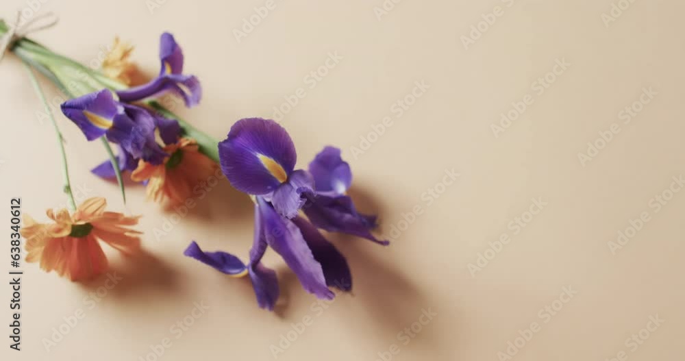 Video of bunch of yellow and purple flowers and copy space on yellow background Video of bunch of yellow and purple flowers and copy space on yellow background