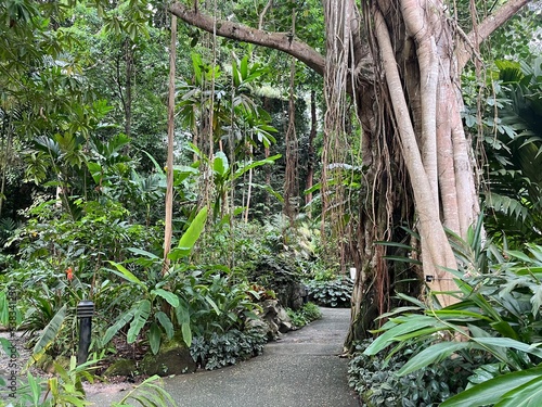 Singapore Botanic Gardens (world heritage)