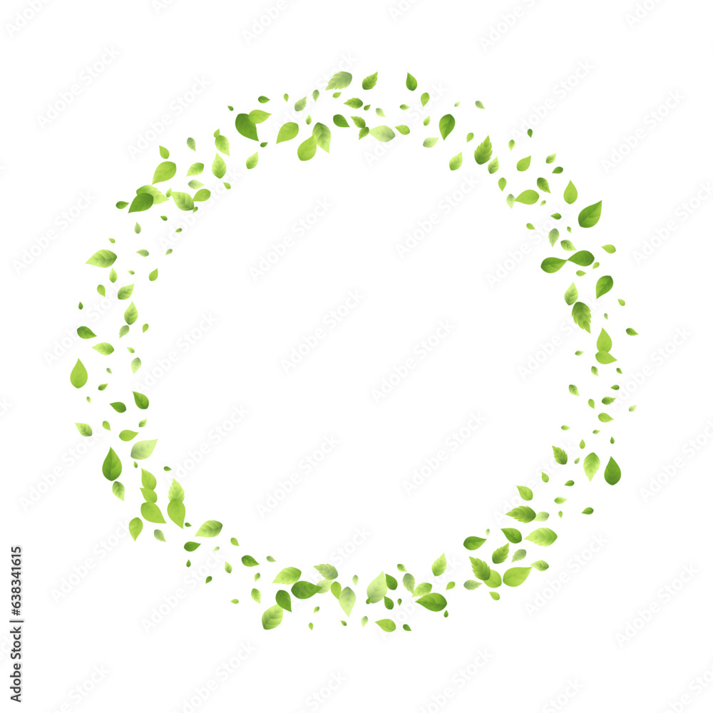 Leaves Green Falling Flying Foliage Leaf Tea Mint Leaves Green Falling Flying Foliage Leaf Tea Mint