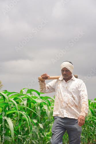 The farmer is passing through the corn field. The man is walking between the rows of maize and touching the green leaves. Concept of harvest time. Agronomists are inspecting vegetable gardens