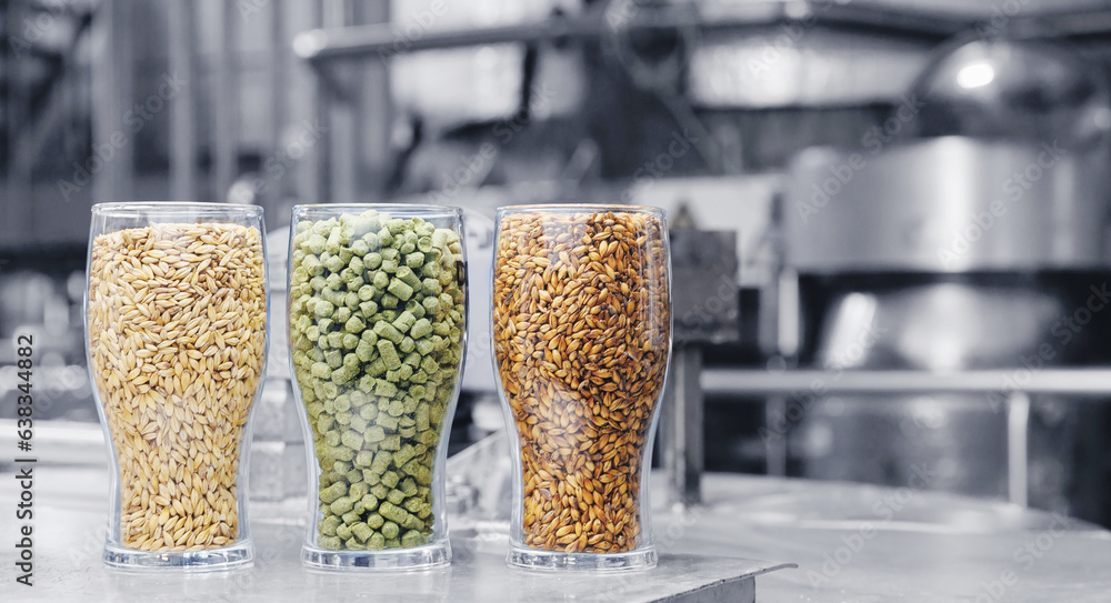 Glasses with various malted grain, wheat. Craft beer brewing from grain barley malt. Ingredients for brewers factory banner Glasses with various malted grain, wheat. Craft beer brewing from grain barley malt. Ingredients for brewers factory banner