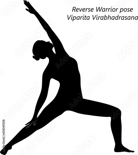 Silhouette of young woman practicing yoga, doing Reverse Warrior pose. Viparita Virabhadrasana. Standing and Lateral Bend. Intermediate. Isolated vector illustration. photo