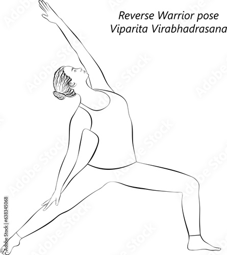Sketch of young woman practicing yoga, doing Reverse Warrior pose. Viparita Virabhadrasana. Standing and Lateral Bend. Intermediate. Isolated vector illustration.