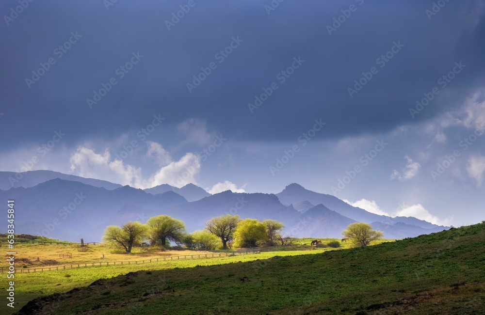 Naklejka premium Kelinshektau Mountains, Karatau Ridge, Western Tien-Shan. Karatau Nature Reserve. South Kazakhstan region. rainy spring