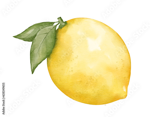 lemon fruit   watercolor illustration isolated element