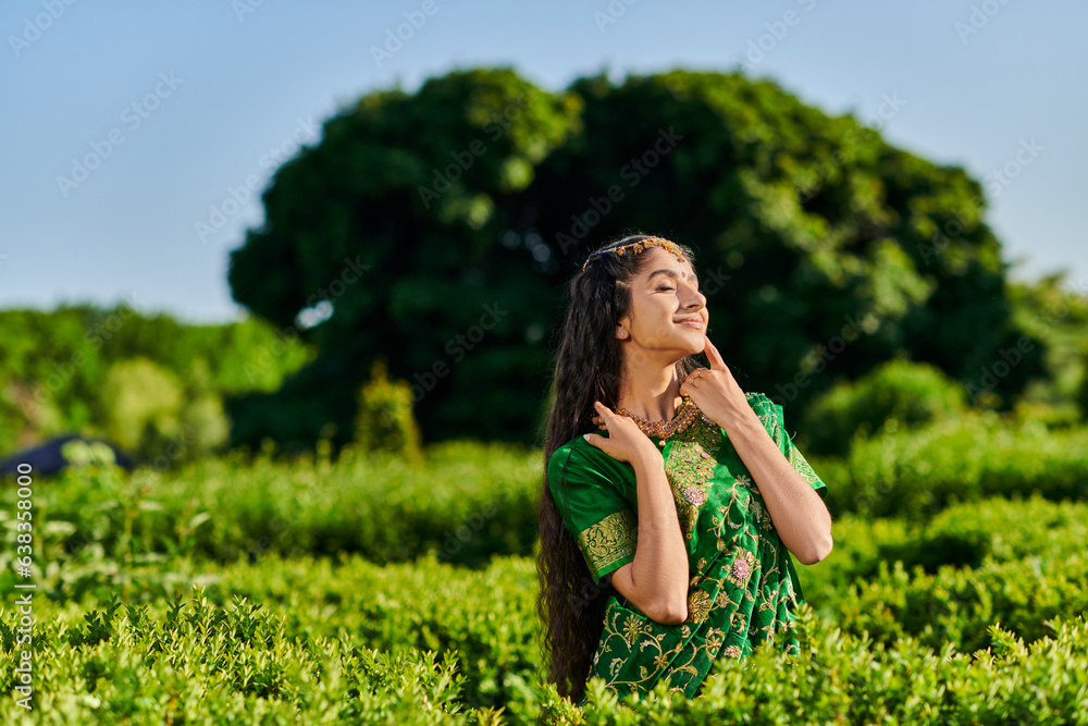 positive and stylish young indian woman in sari posing near green bushes in park in summer positive and stylish young indian woman in sari posing near green bushes in park in summer