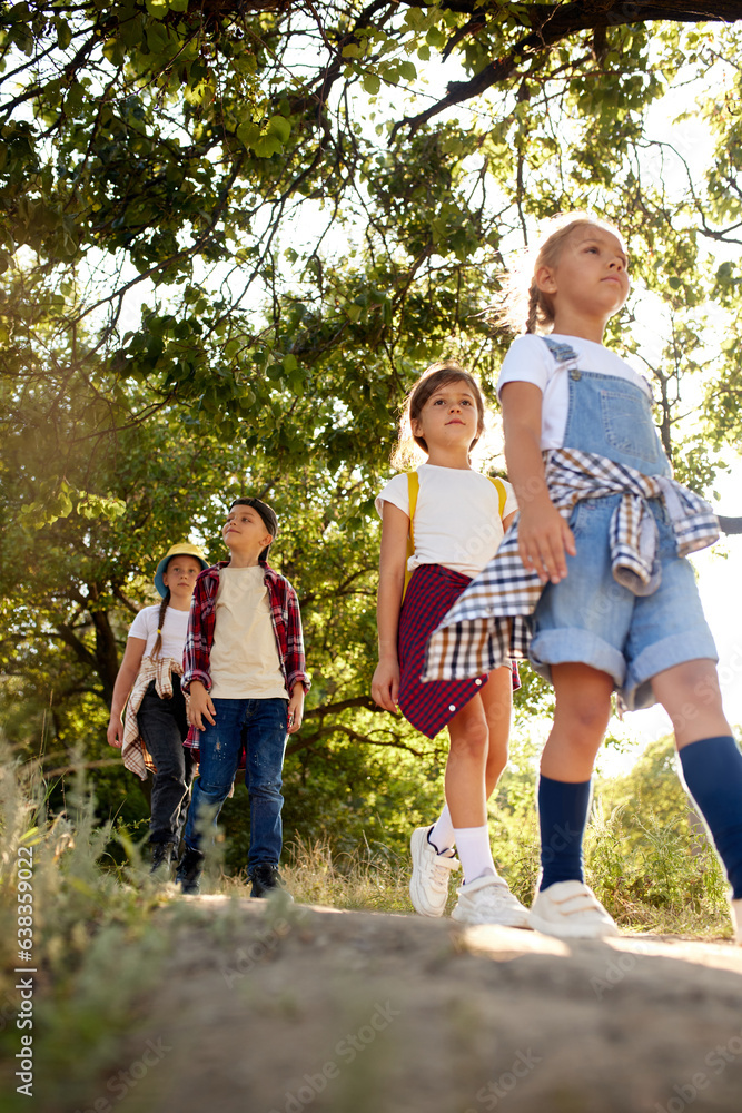 Fototapeta premium Positive, playful children, boys and girls in casual clothes going hiking, walking on path in forest on warm, sunny day. Leisure activity, childhood, summer, friendship, active lifestyle, fun concept