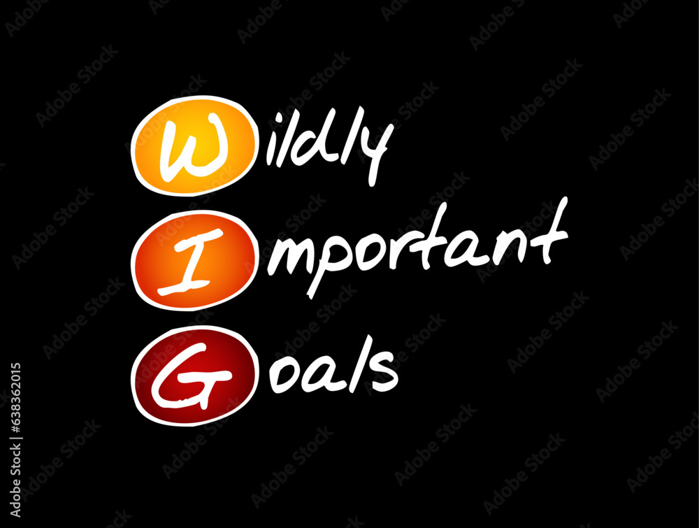 WIG Wildly Important Goals highly important goals that must be