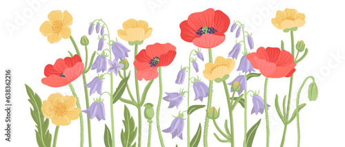 red poppy, bellflowers and yellow buttercups, field flowers, vector drawing wild plants at white background, floral elements, hand drawn botanical illustration