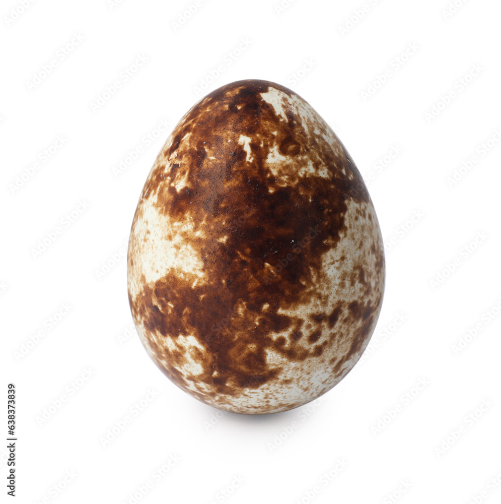One speckled quail egg isolated on white One speckled quail egg isolated on white