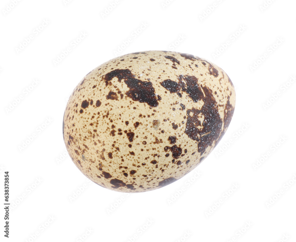 One speckled quail egg isolated on white, top view One speckled quail egg isolated on white, top view