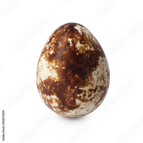 Fototapeta Naklejka Na Ścianę i Meble -  One speckled quail egg isolated on white