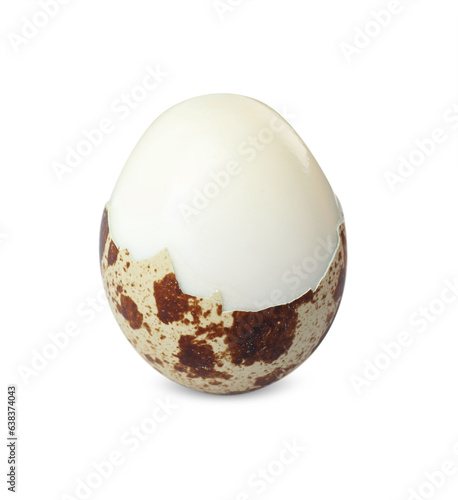 Boiled quail egg in shell isolated on white