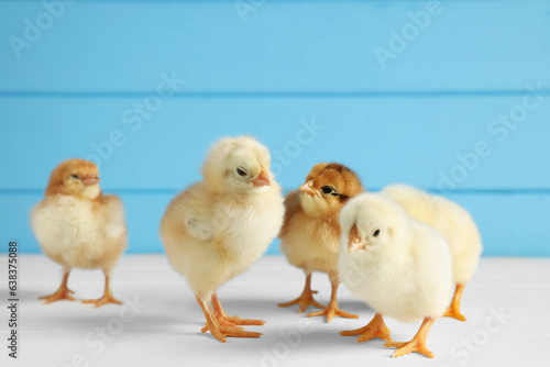 Many cute chicks on white wooden table, closeup with space for text. Baby animals