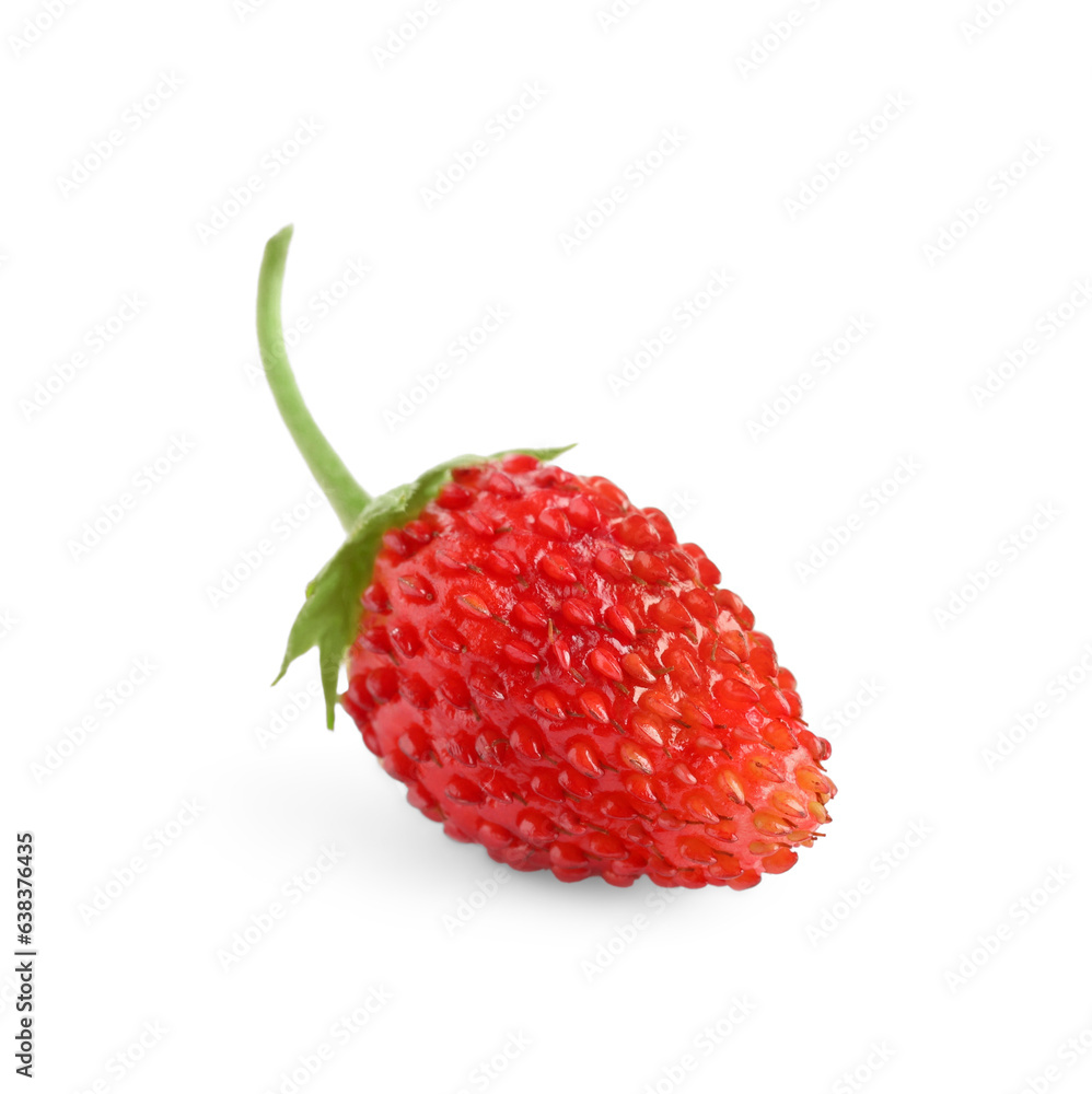 One ripe wild strawberry isolated on white One ripe wild strawberry isolated on white