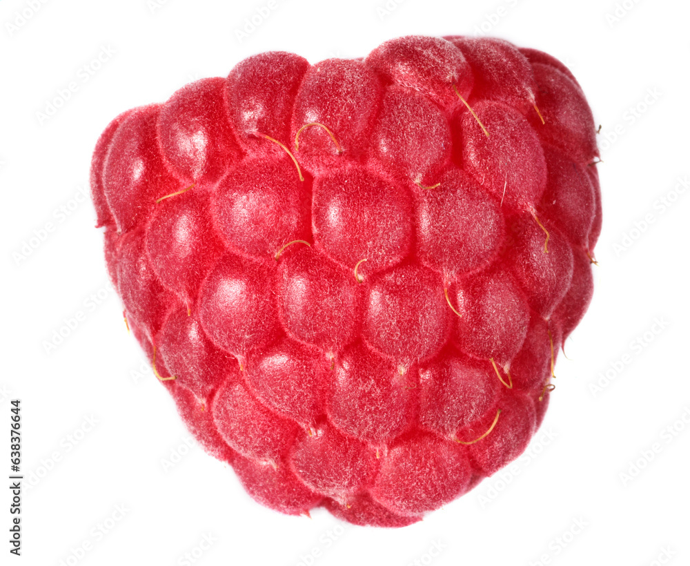 One tasty ripe raspberry isolated on white One tasty ripe raspberry isolated on white