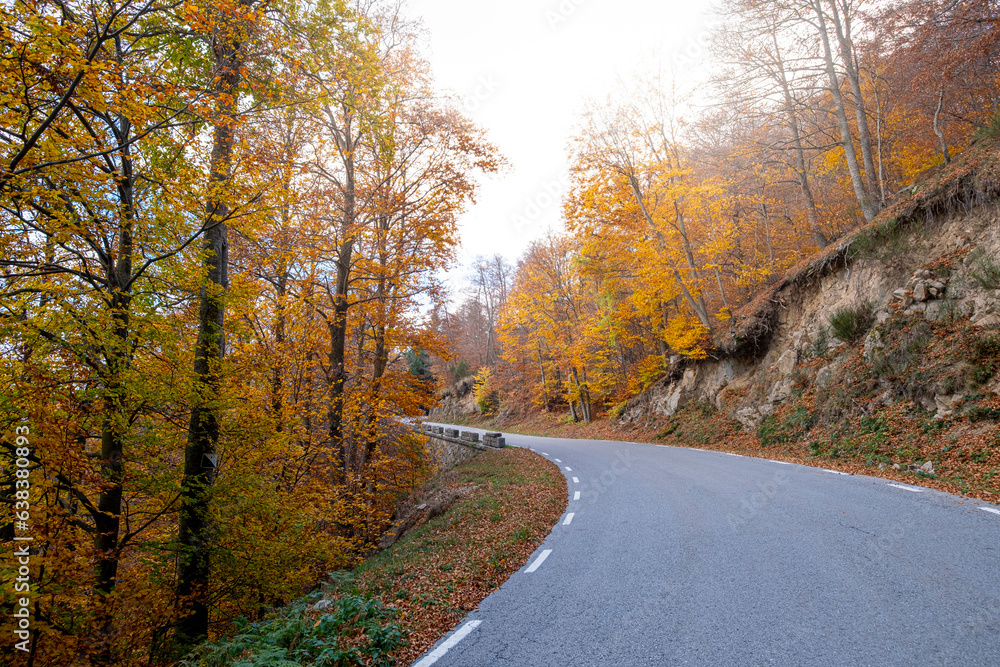 road between the forests of the natural park of Montseny in the autumn in the province of Barcelona in Spain road between the forests of the natural park of Montseny in the autumn in the province of Barcelona in Spain