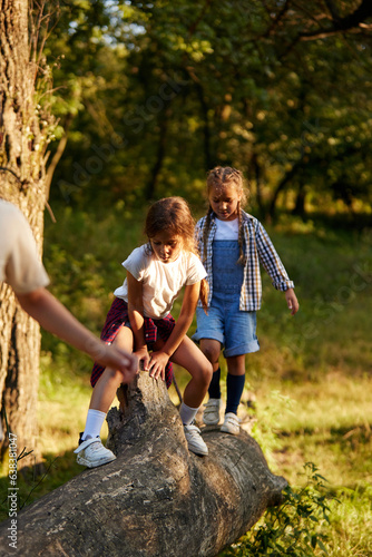 Little kids playing in forest on sunny day, standing on stones, having fun outdoors. Concept of leisure activity, childhood, summer, friendship, active lifestyle, fun, nature