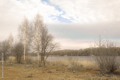 rustic country side nature scenic view of dry and bare trees and grass on shore line area in autumn morning, soft focus concept photo