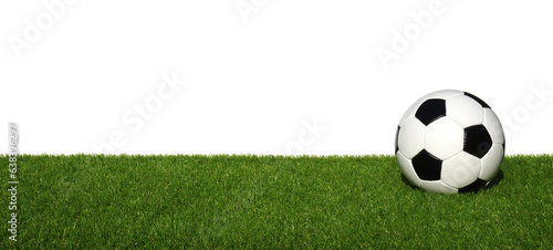 Soccer ball on green grass