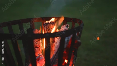 Burning logs in fire basket