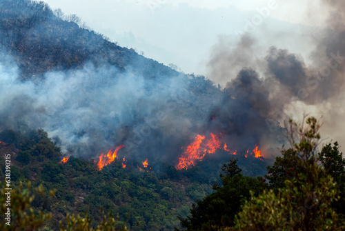Forest fire in Greece // Waldbrand in Griechenland