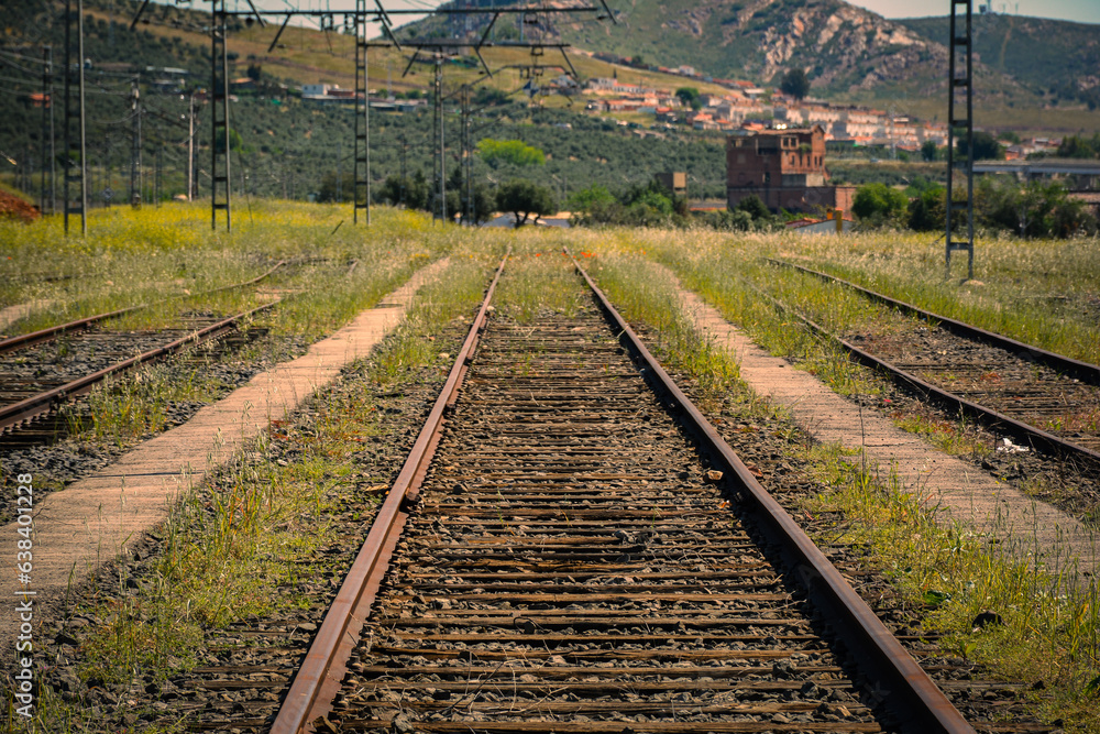 Obraz premium Rails of the Spanish conventional railway, Puertollano, Ciudad Real