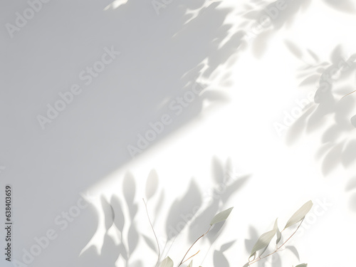 Leaf Shadow Overlay natural light isolated high quality
