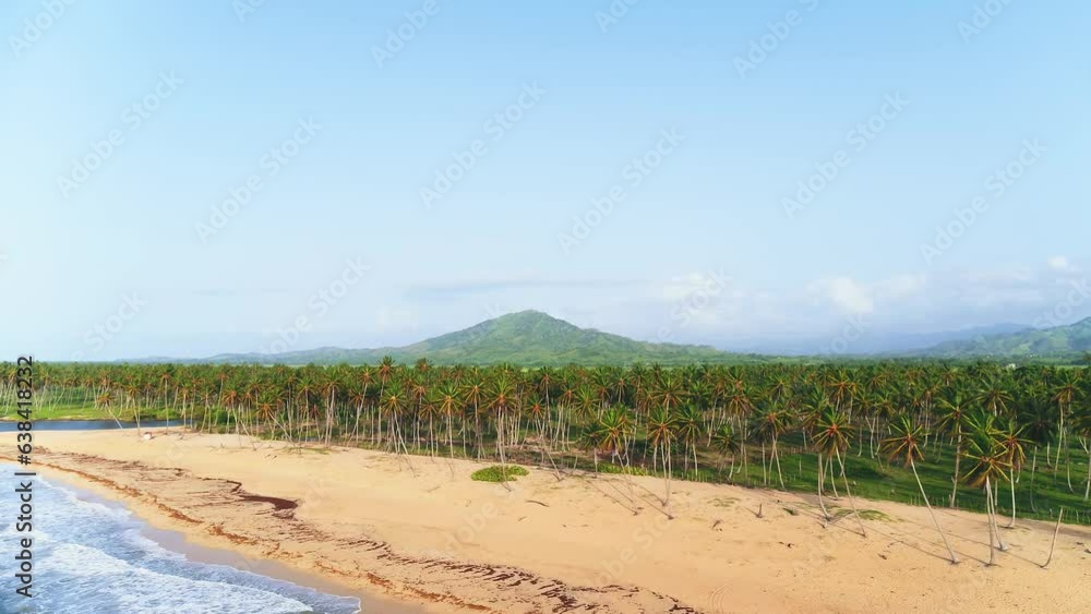 Summer landscape of sky and beach. Palms trees on the island on a sunny summer day in the Atlantic Ocean. Turquoise waves of the Caribbean. Big white waves lie on a wild beach with yellow sand. Summer landscape of sky and beach. Palms trees on the island on a sunny summer day in the Atlantic Ocean. Turquoise waves of the Caribbean. Big white waves lie on a wild beach with yellow sand.